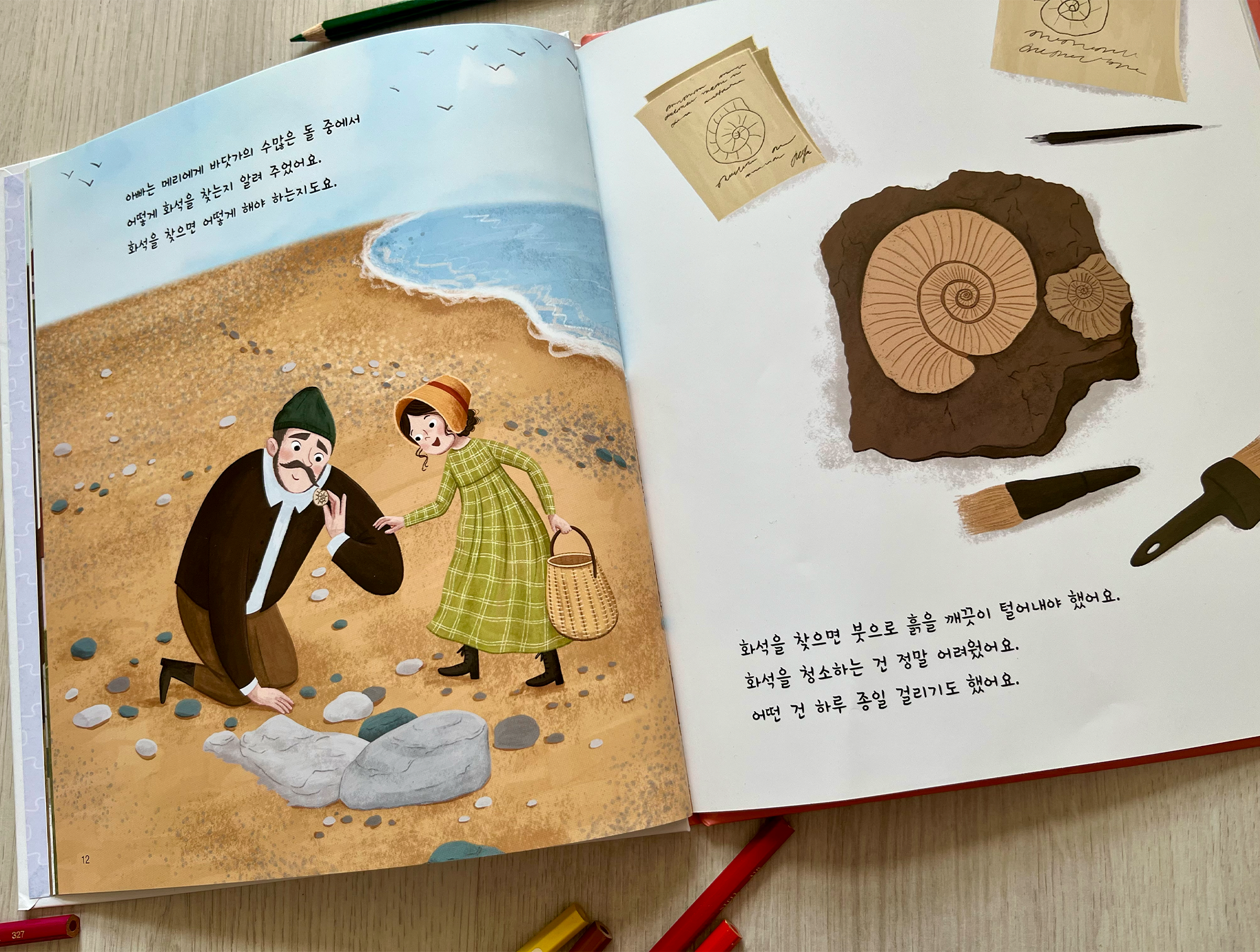 Mary Anning and the Story-Telling Rocks. Picture book — Изображение №9 — Иллюстрация на Dprofile