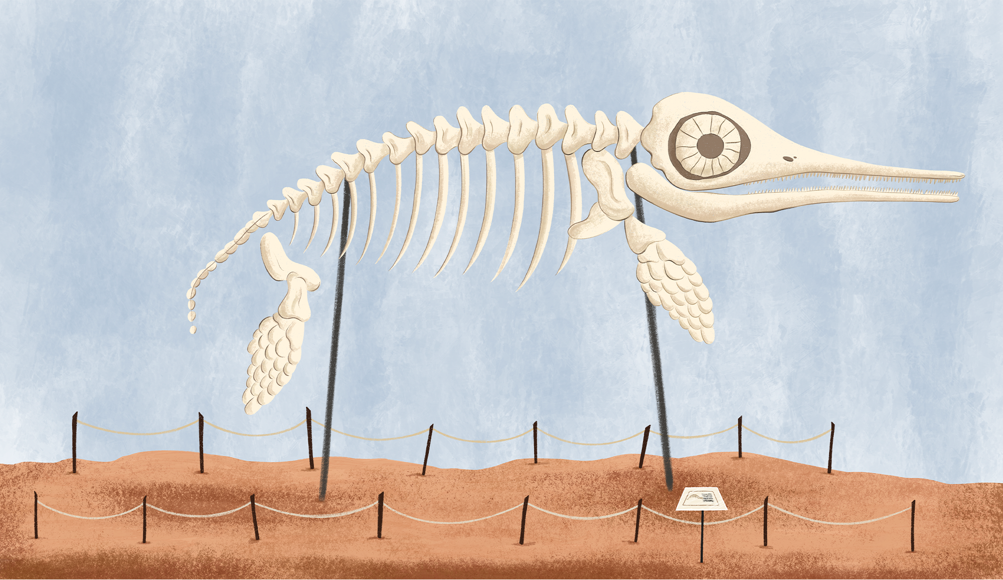 Mary Anning and the Story-Telling Rocks. Picture book — Изображение №14 — Иллюстрация на Dprofile