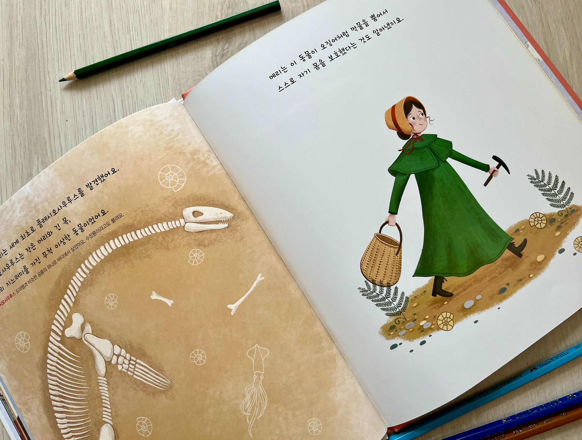 Mary Anning and the Story-Telling Rocks. Picture book — Изображение №13 — Иллюстрация на Dprofile