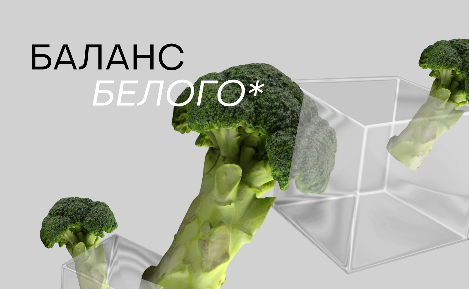 Баланс Белого — Изображение №1 — Брендинг на Dprofile