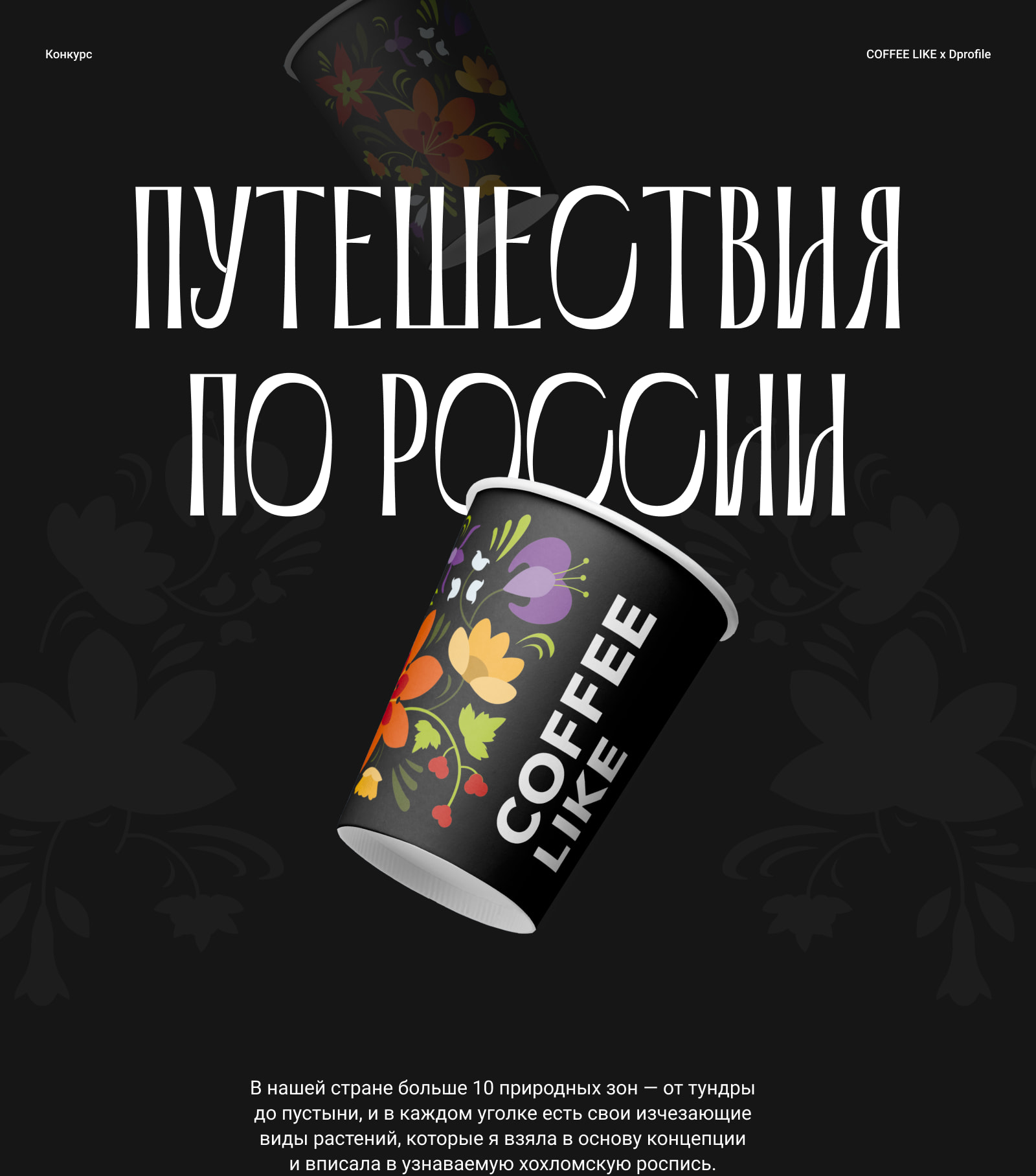 Путешествия по России — Изображение №1 — Брендинг на Dprofile