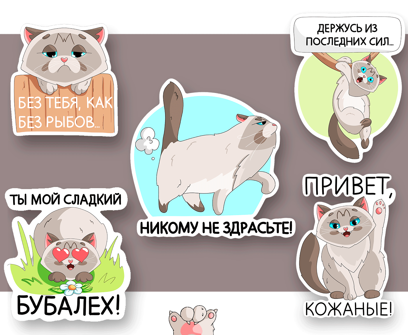 Стикеры | Сибирский кот — Изображение №5 — Иллюстрация на Dprofile