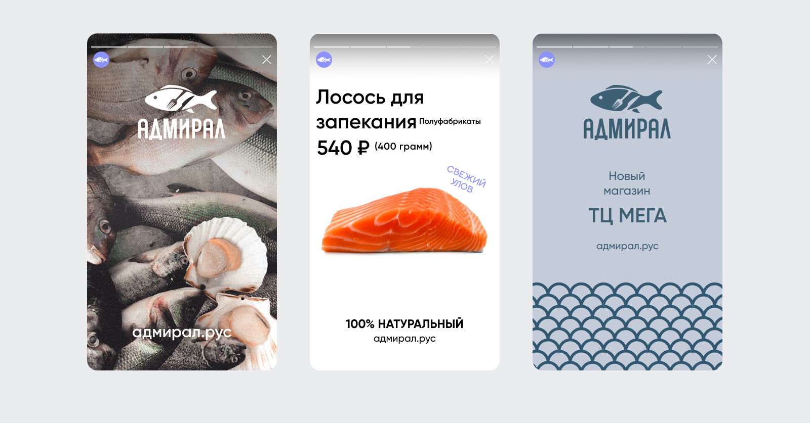 Адмирал — Branding — Изображение №8 — Брендинг на Dprofile