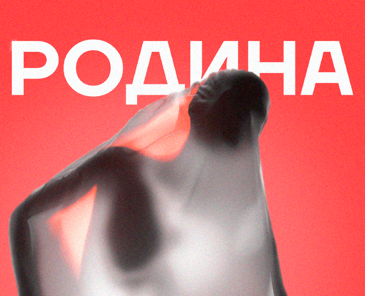 КДЦ Родина — Branding / Website — Интерфейсы, Брендинг на Dprofile