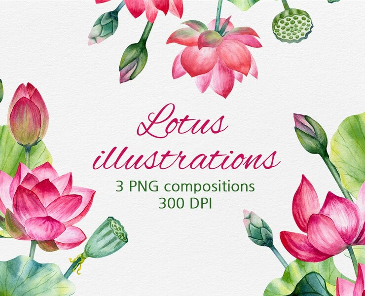 Lotus illustrations PNG — Иллюстрация, Графика на Dprofile