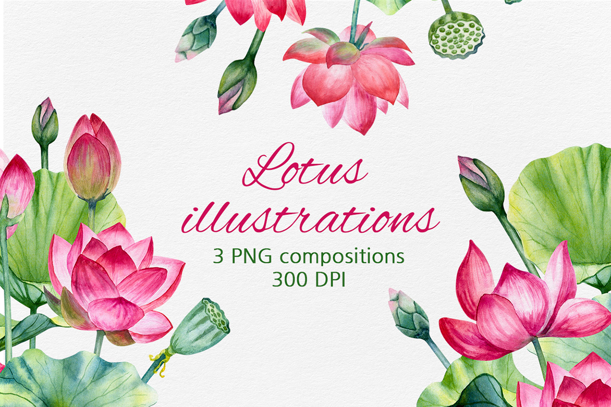Lotus illustrations PNG — Изображение №1 — Иллюстрация, Графика на Dprofile