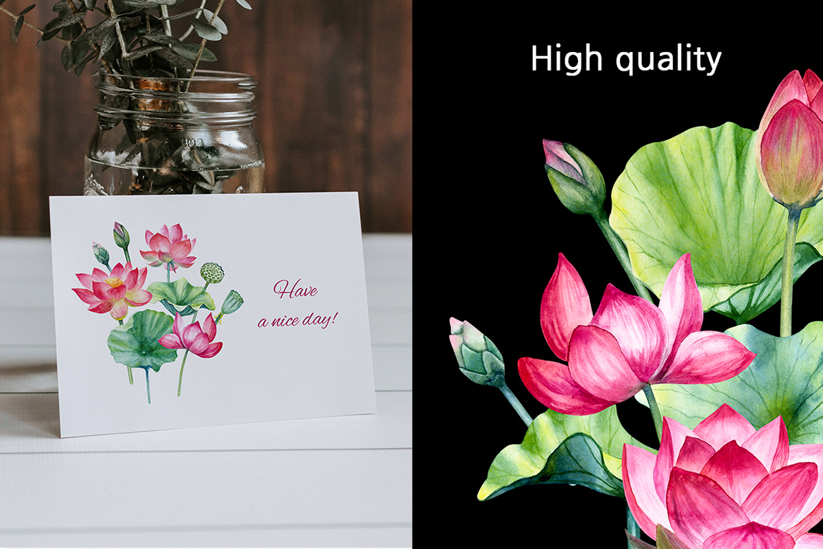 Lotus illustrations PNG — Изображение №3 — Иллюстрация, Графика на Dprofile