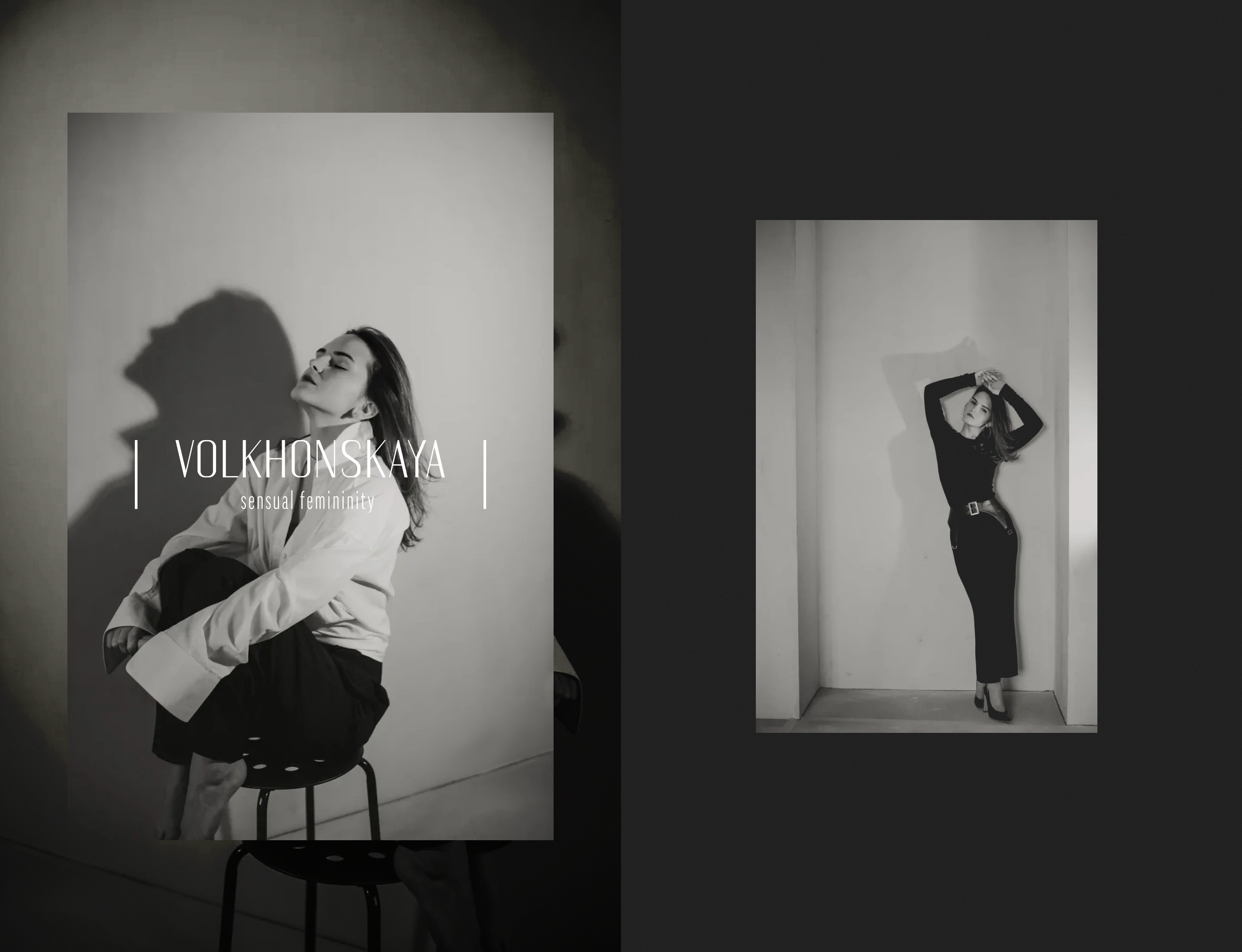 logotype. volkhonskaya — Изображение №8 — Брендинг, Графика на Dprofile