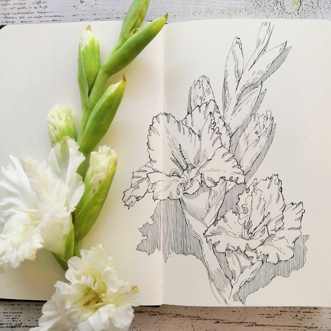 Botanical sketches — Изображение №9 — Иллюстрация, Графика на Dprofile
