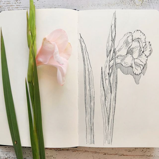 Botanical sketches — Изображение №8 — Иллюстрация, Графика на Dprofile