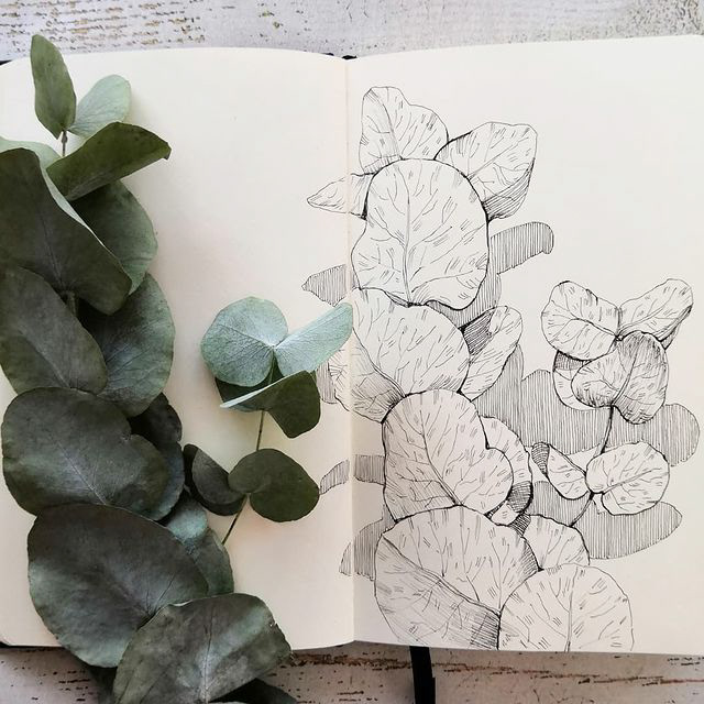 Botanical sketches — Изображение №20 — Иллюстрация, Графика на Dprofile