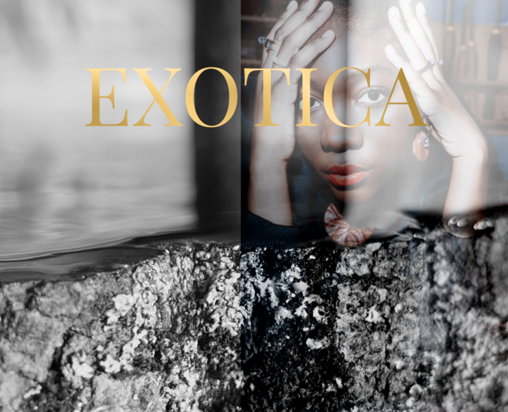 Exoticawood — Интерфейсы, Анимация на Dprofile