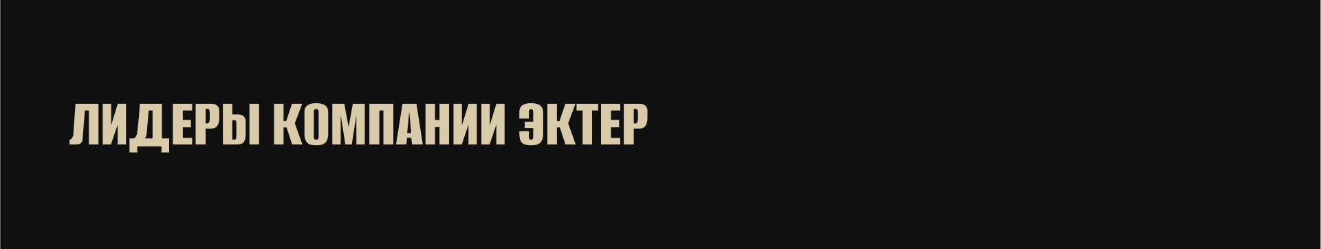 ЭКТЕР промо-страница компании — Изображение №7 — Интерфейсы, Брендинг на Dprofile