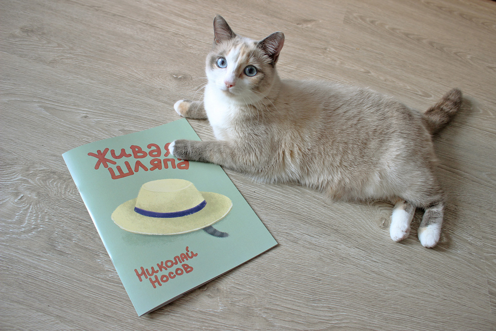 Иллюстрации к детской книге — Изображение №21 — Иллюстрация на Dprofile