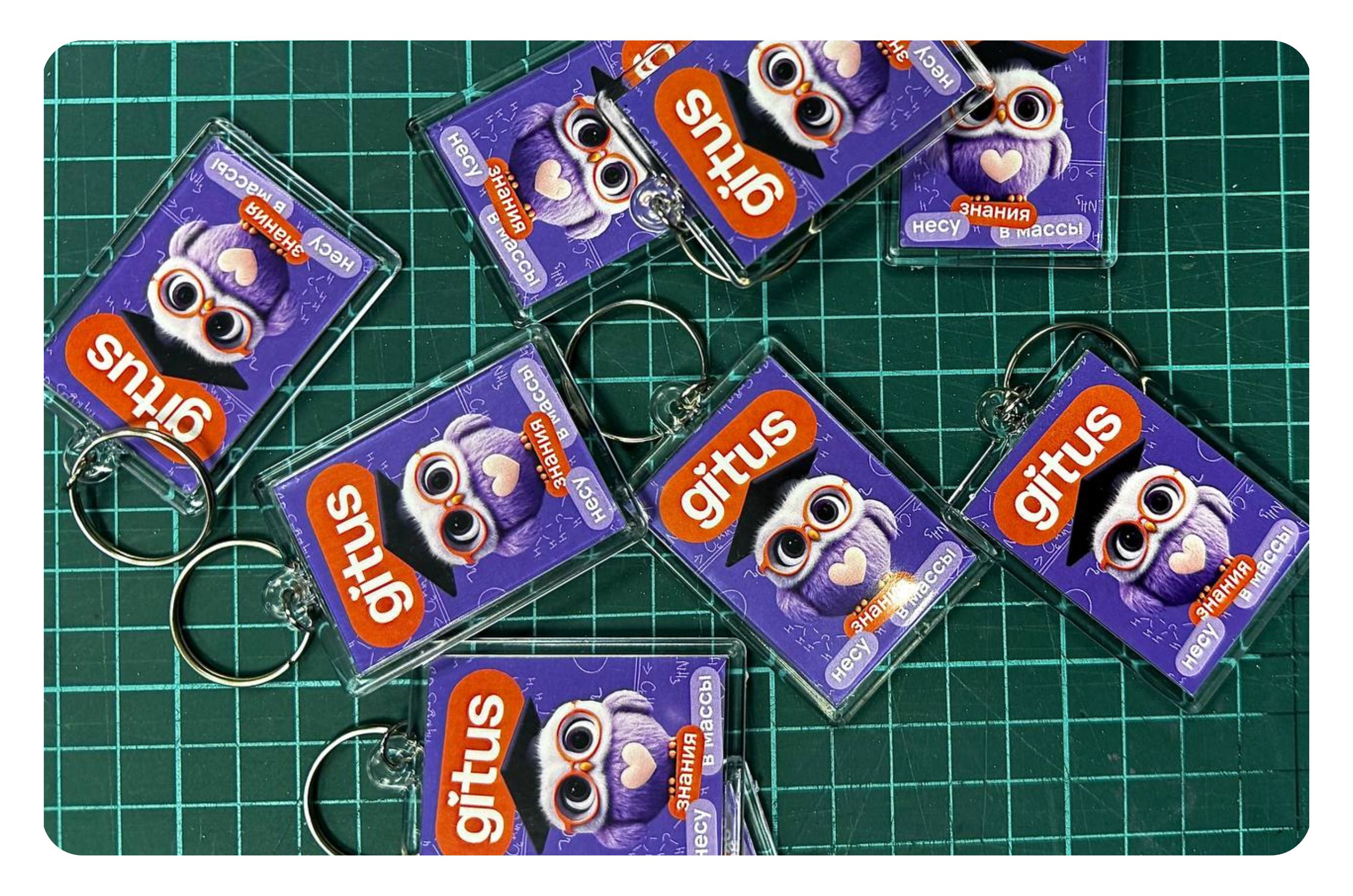 Фирменный стиль для образовательного центра gitus — Изображение №7 — Брендинг, Иллюстрация на Dprofile
