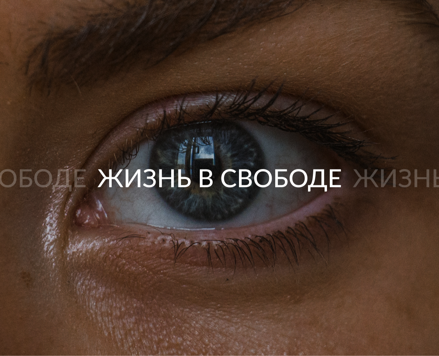 ФИРМЕННЫЙ СТИЛЬ "ЖИЗНЬ В СВОБОДЕ" | CHARITY FOUNDATION — Брендинг, Маркетинг на Dprofile