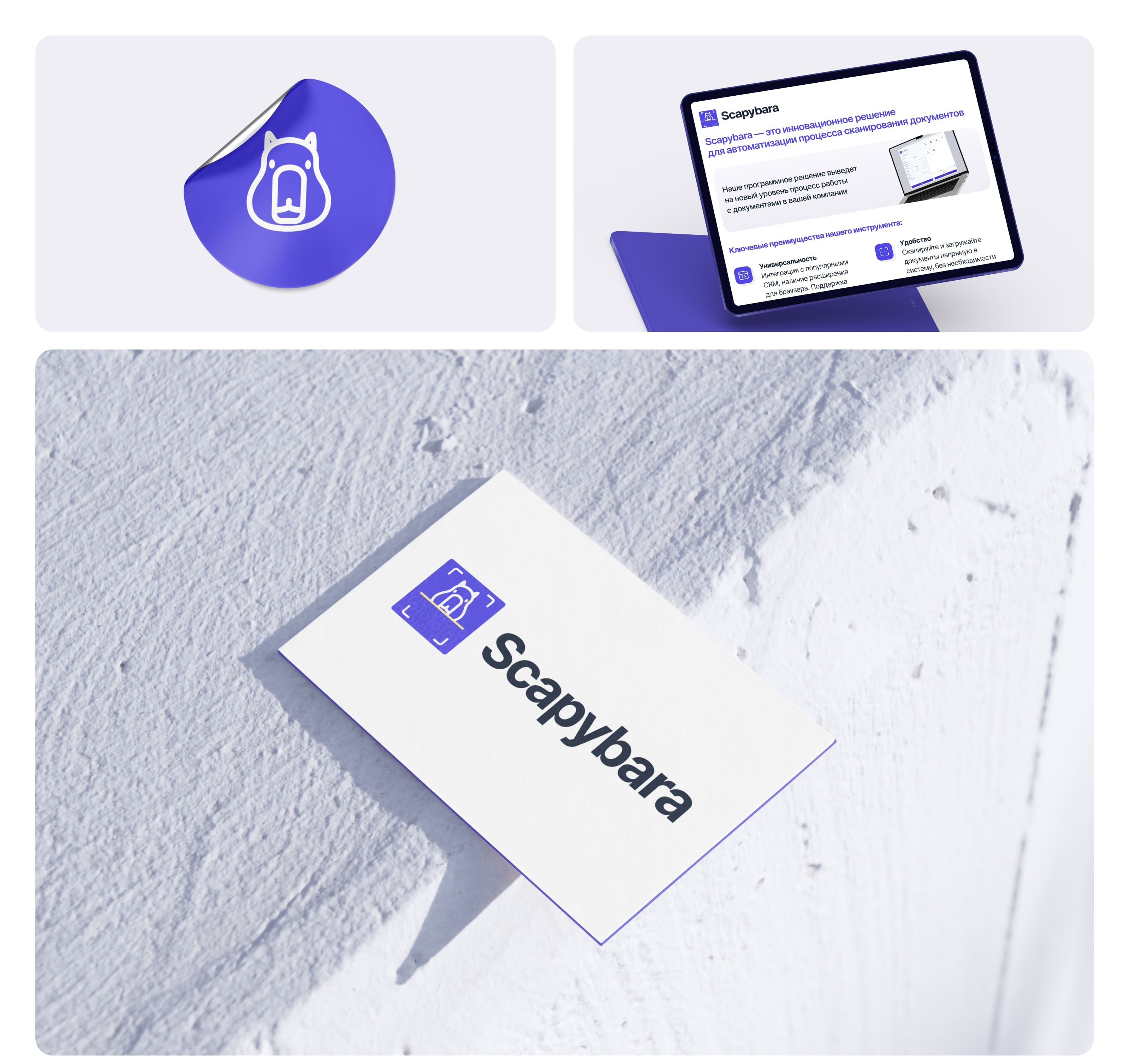 Landing-page для сервиса Scapybara — Изображение №8 — Интерфейсы на Dprofile