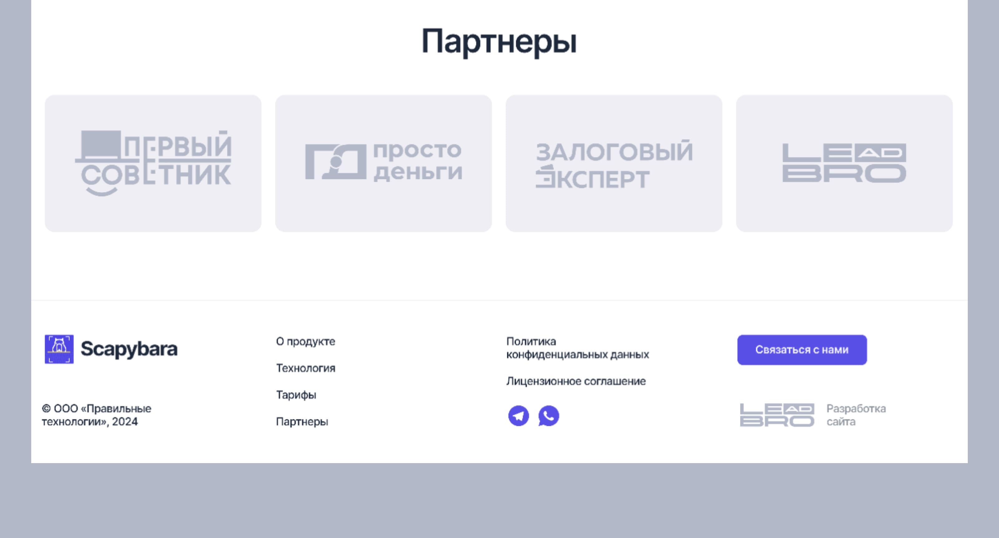 Landing-page для сервиса Scapybara — Изображение №7 — Интерфейсы на Dprofile