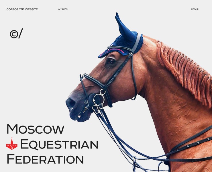 Федерация конного спорта Москвы на Dprofile