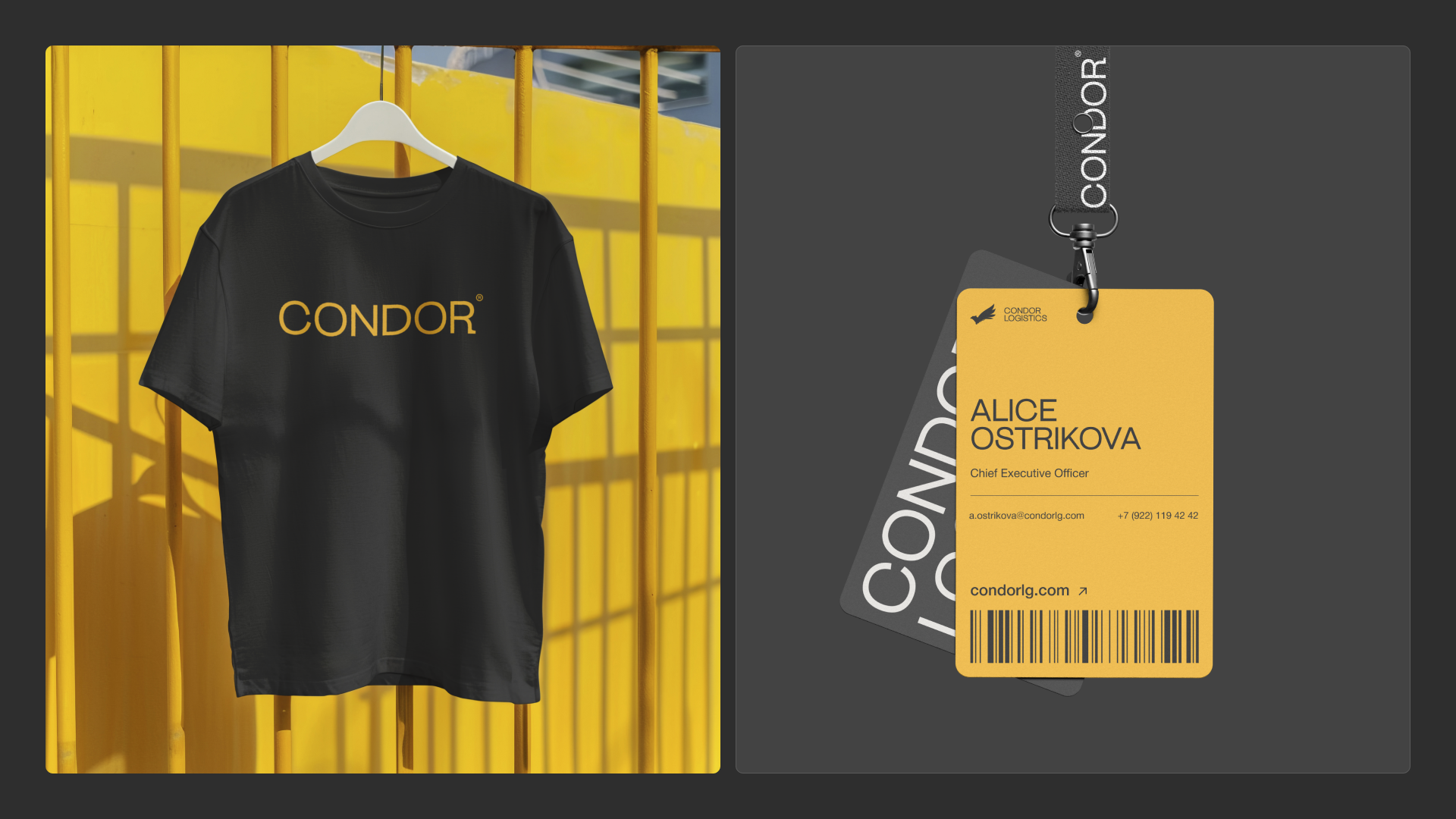 CONDOR LOGISTICS — Изображение №9 — Интерфейсы, Брендинг на Dprofile