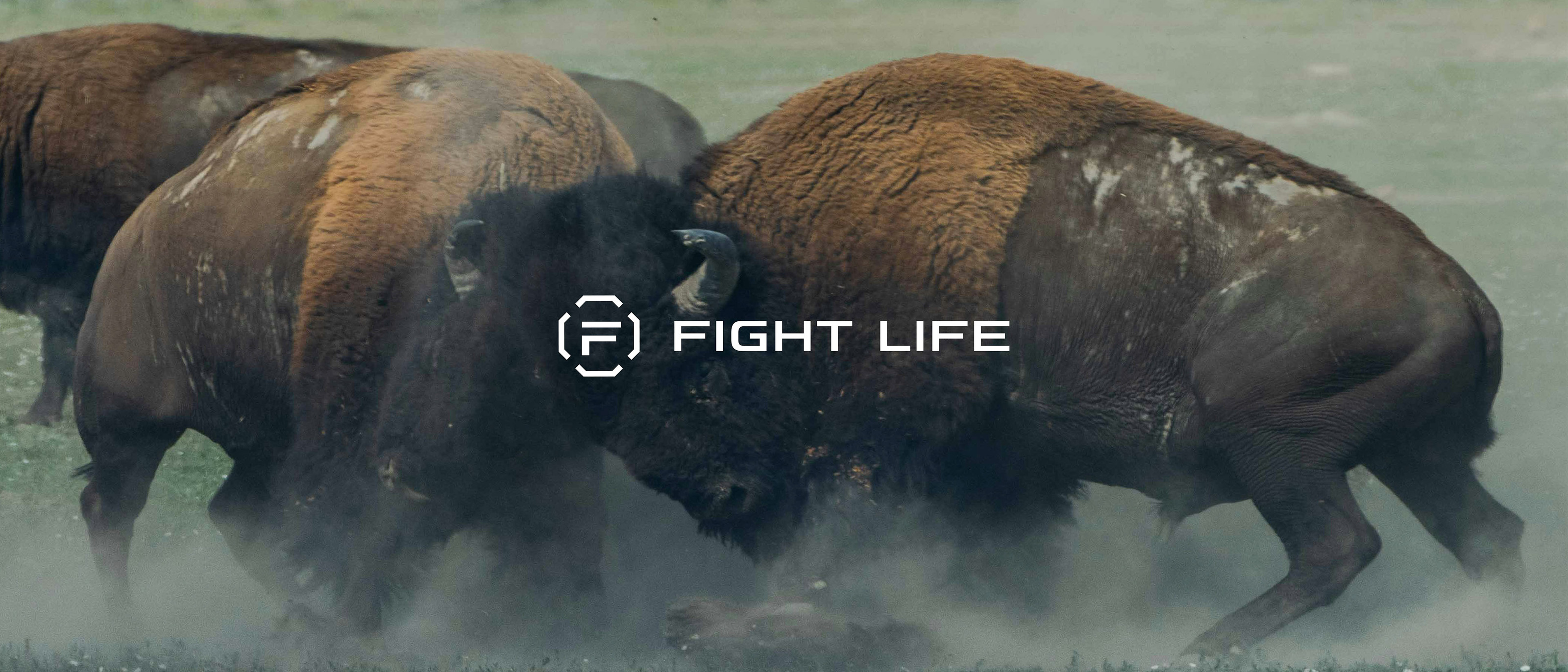 Fight Life — Изображение №1 — Брендинг на Dprofile