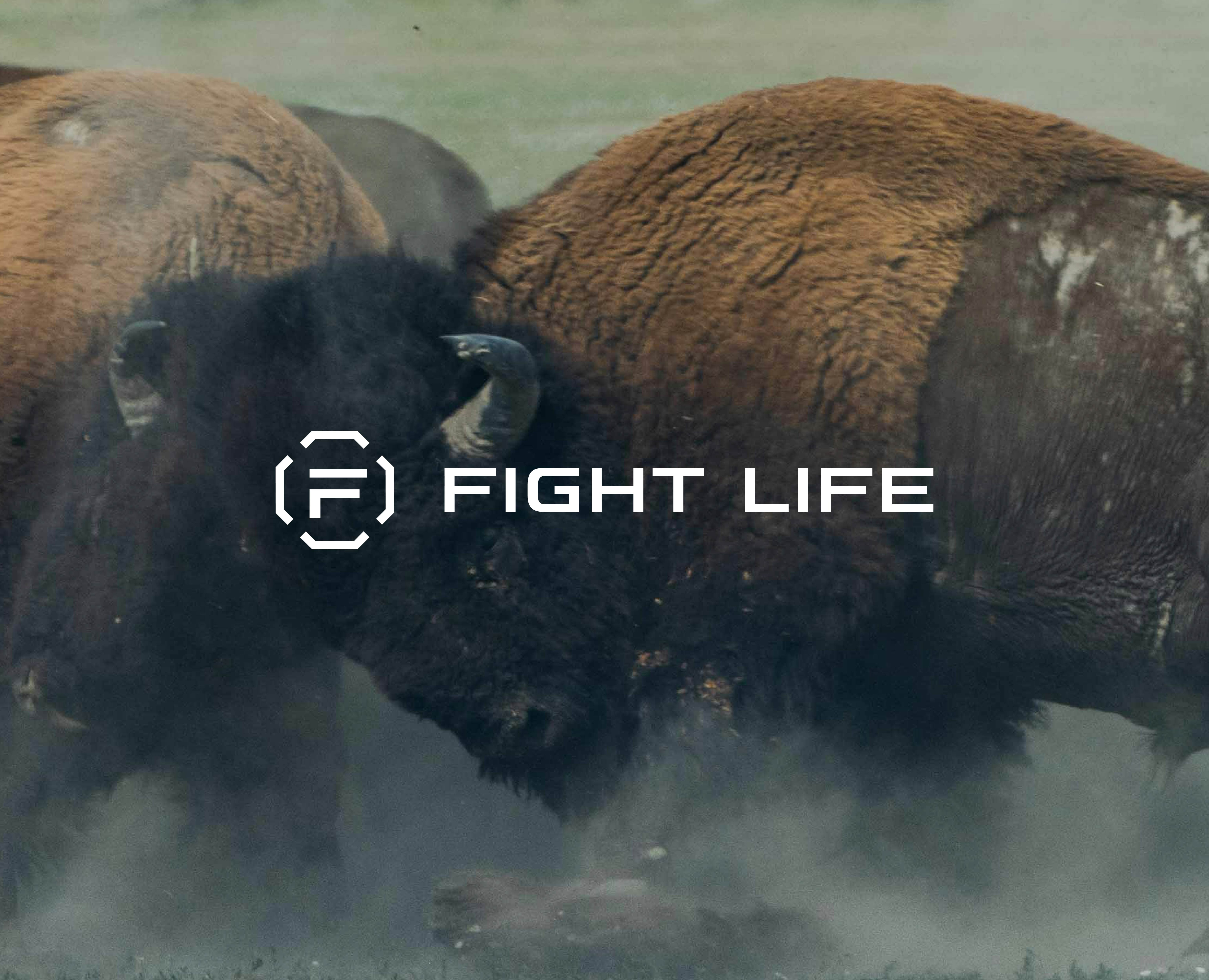 Fight Life на Dprofile