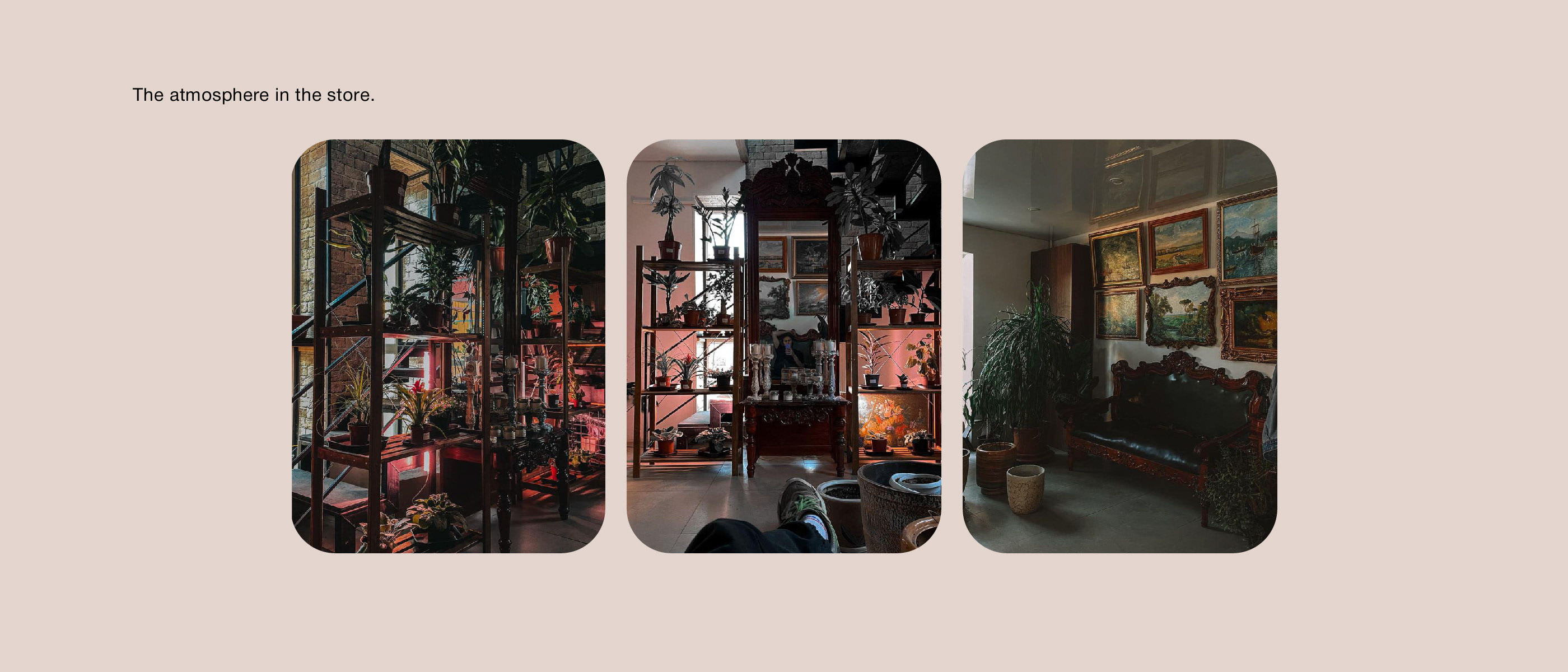 Flora and Sun - Brand Identity — Изображение №4 — Брендинг на Dprofile