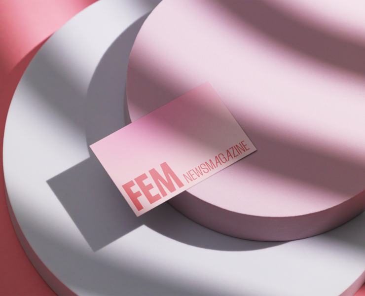 FEM Newsmagazine — Интерфейсы, Брендинг на Dprofile