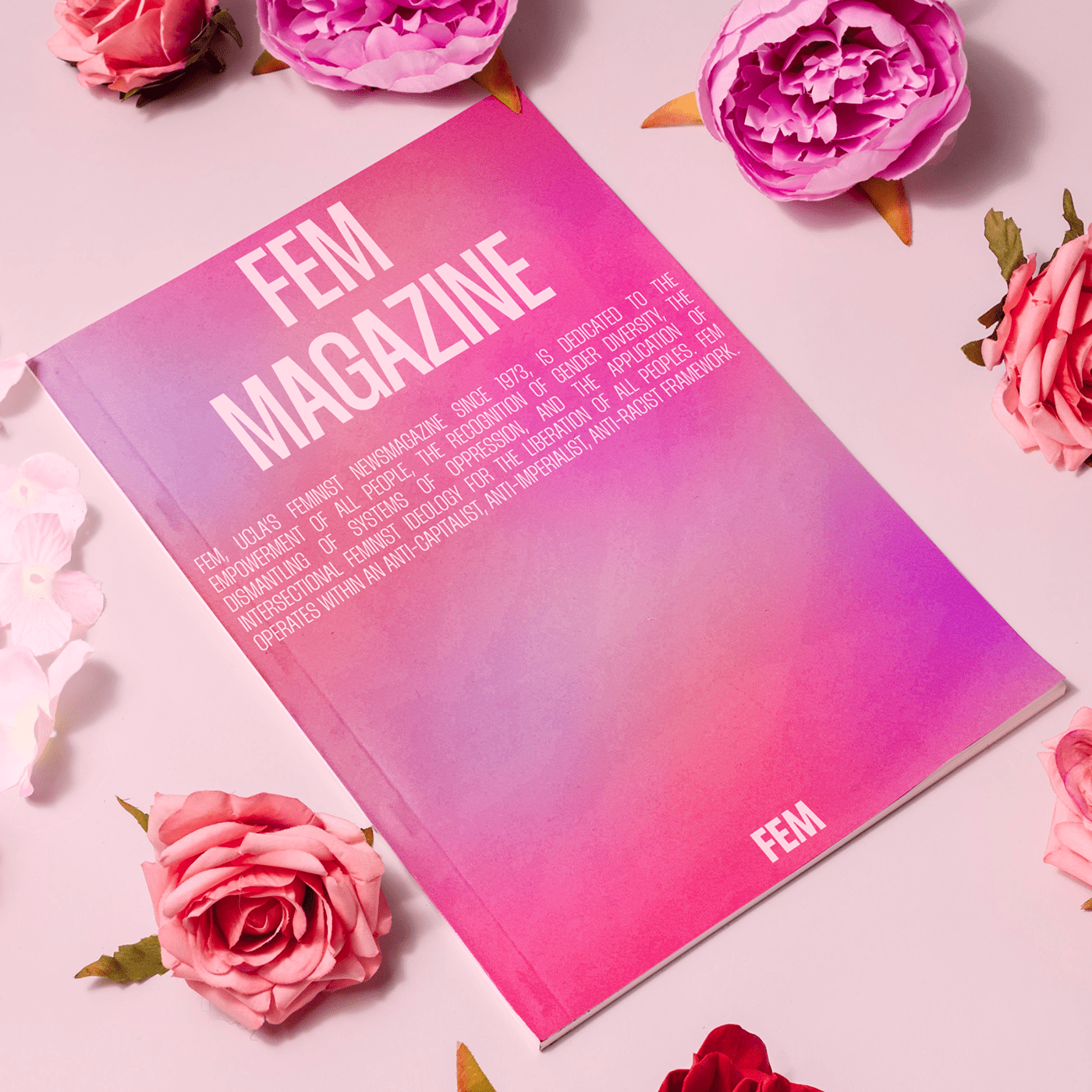 FEM Newsmagazine — Изображение №5 — Брендинг, Интерфейсы на Dprofile