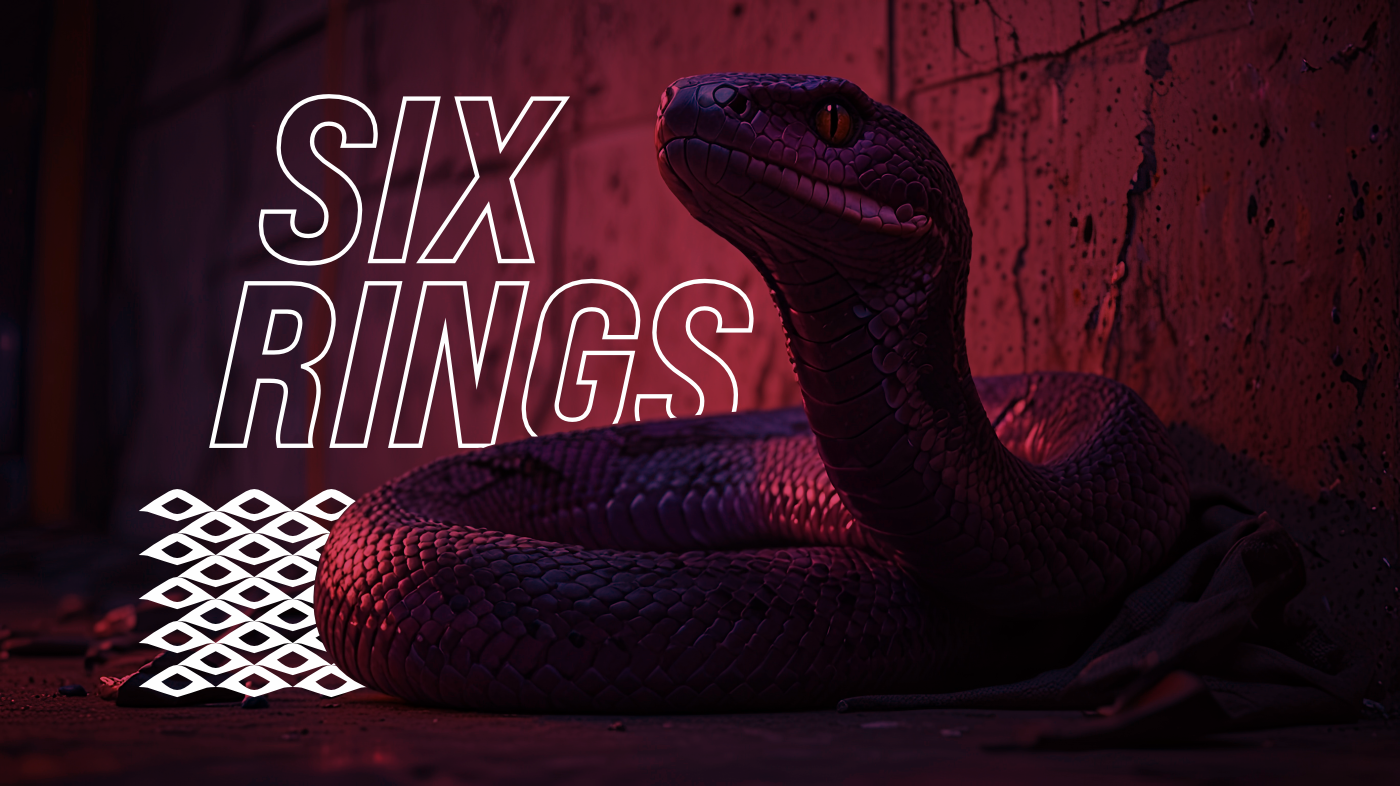 "SIX RINGS" киберспортивная организация — Изображение №1 — Брендинг на Dprofile