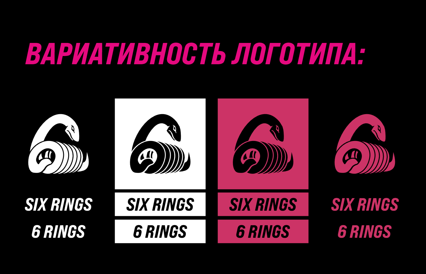 "SIX RINGS" киберспортивная организация — Изображение №8 — Брендинг на Dprofile