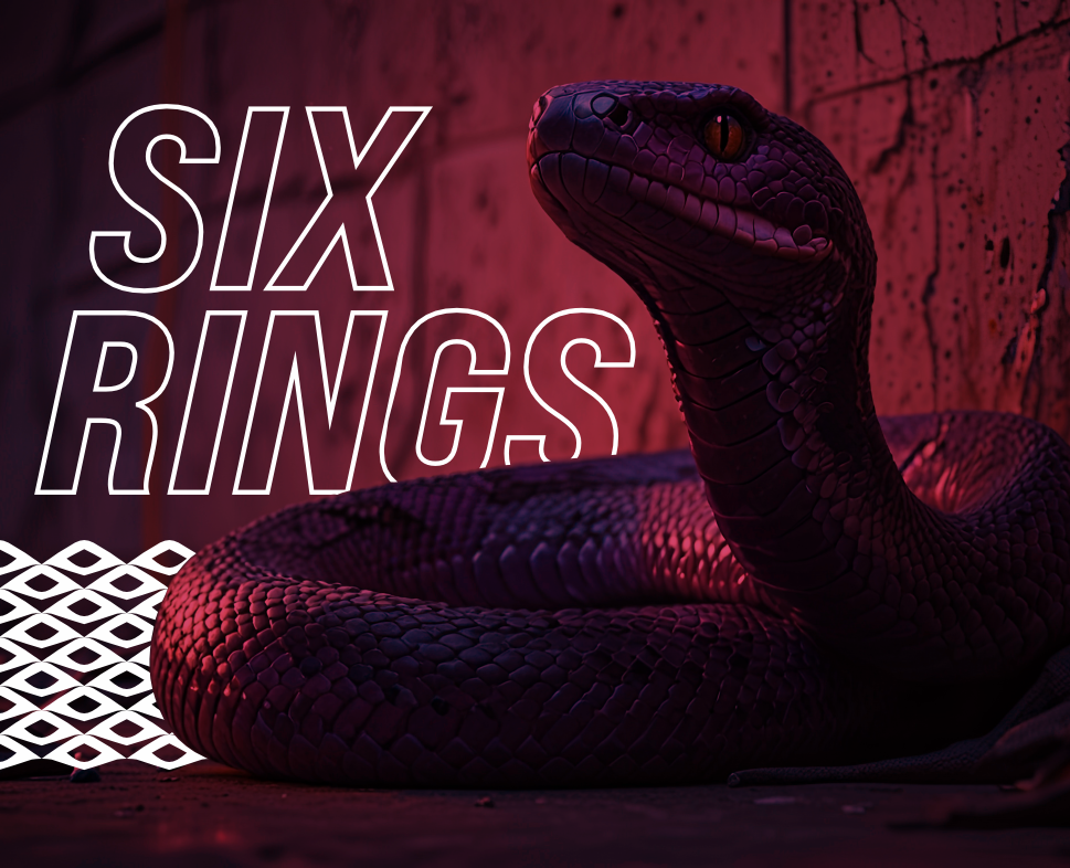 "SIX RINGS" киберспортивная организация — Брендинг на Dprofile