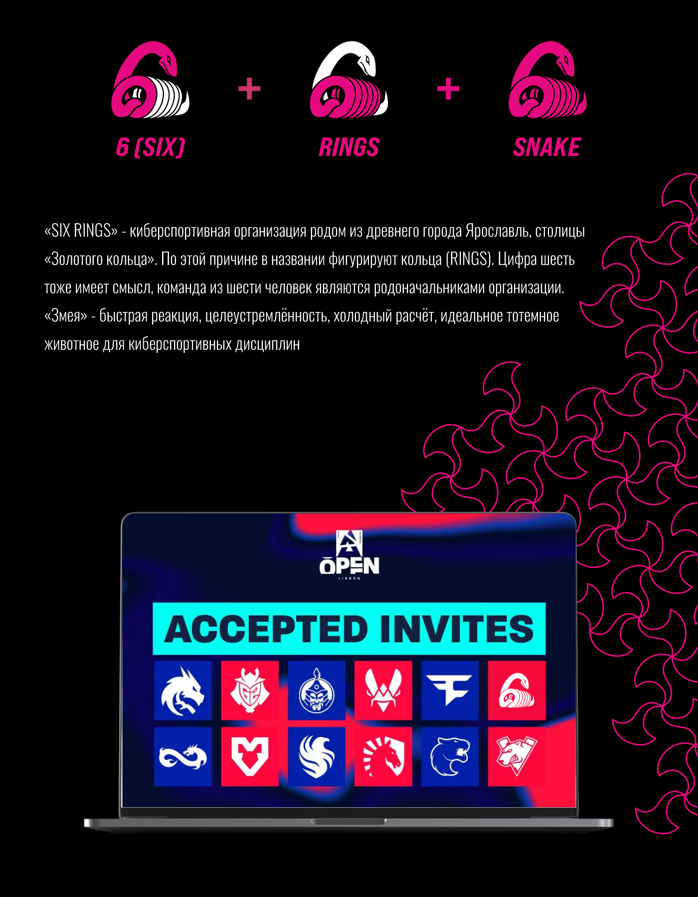 "SIX RINGS" киберспортивная организация — Изображение №6 — Брендинг на Dprofile
