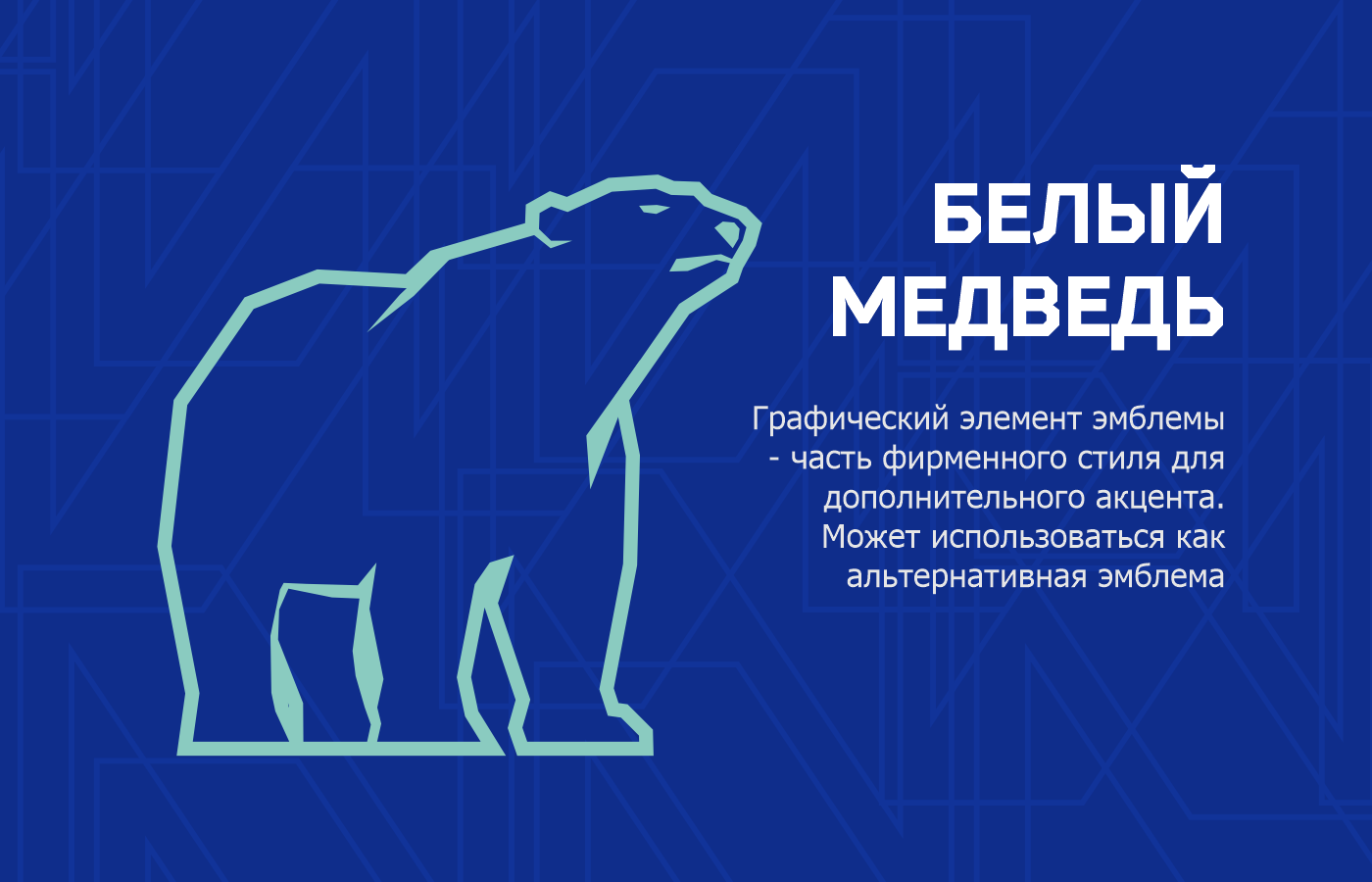 "СЕВЕР" футбольный клуб — Изображение №6 — Брендинг на Dprofile
