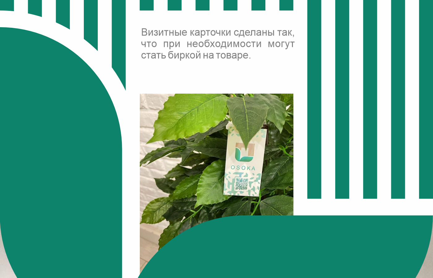 Студия по озеленению "OSOKA" — Изображение №9 — Брендинг на Dprofile