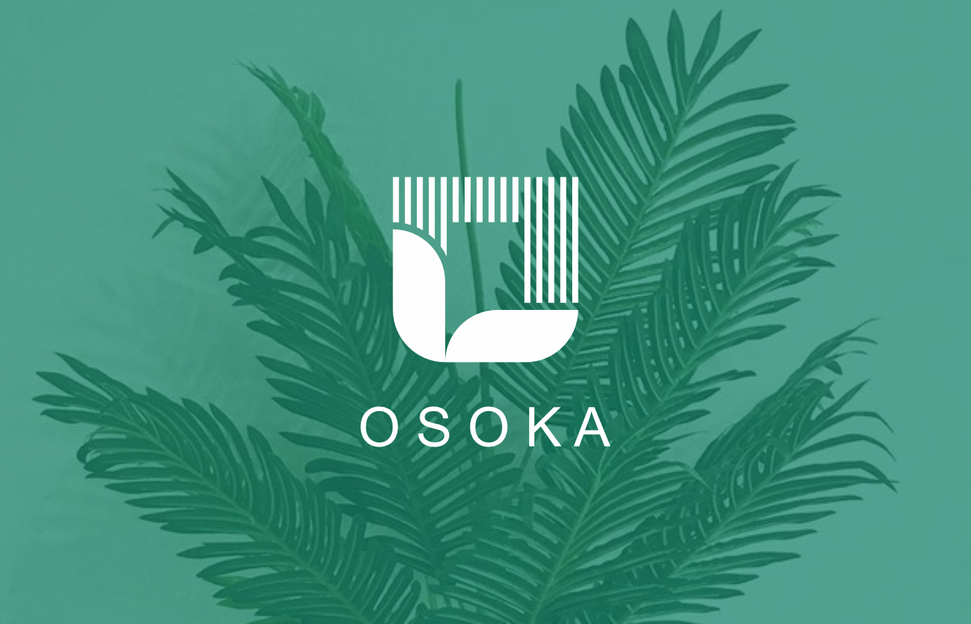 Студия по озеленению "OSOKA" — Изображение №1 — Брендинг на Dprofile