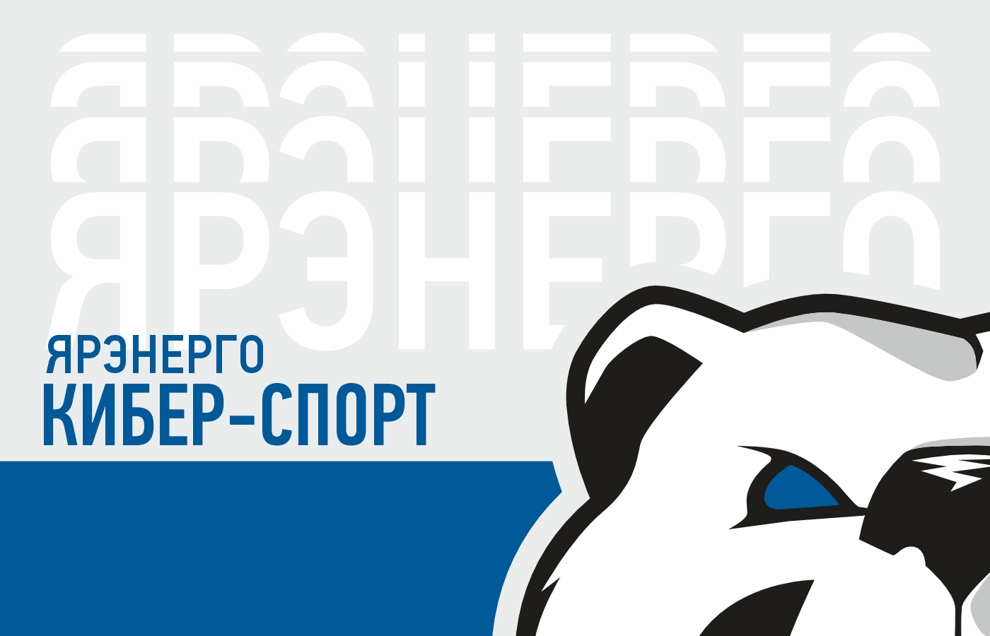 "ЯРЭНЕРГО" кибер-спорт — Изображение №1 — Брендинг на Dprofile