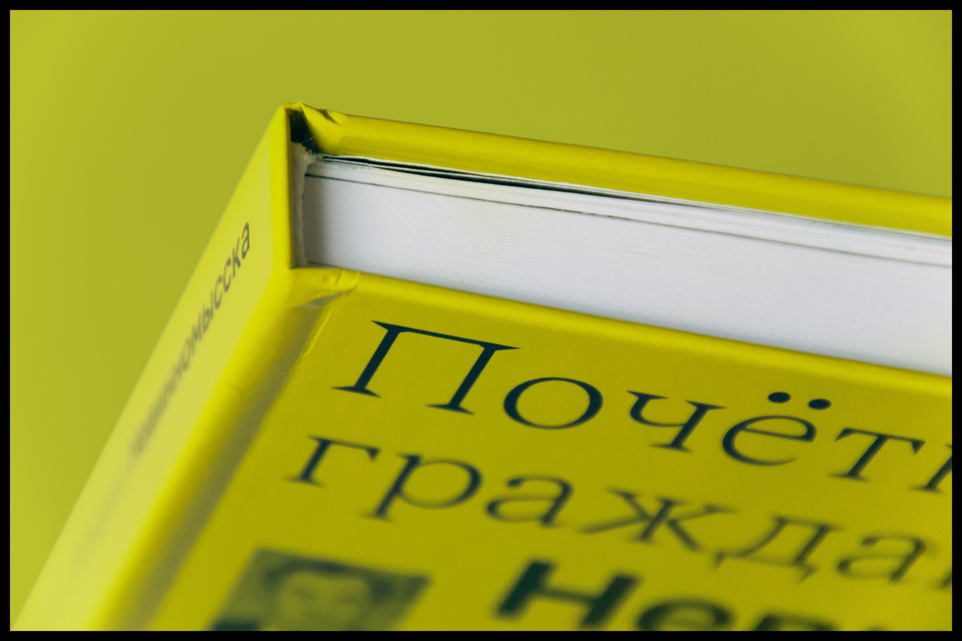 Почётные граждане Невинномысска — Изображение №6 — Графика на Dprofile