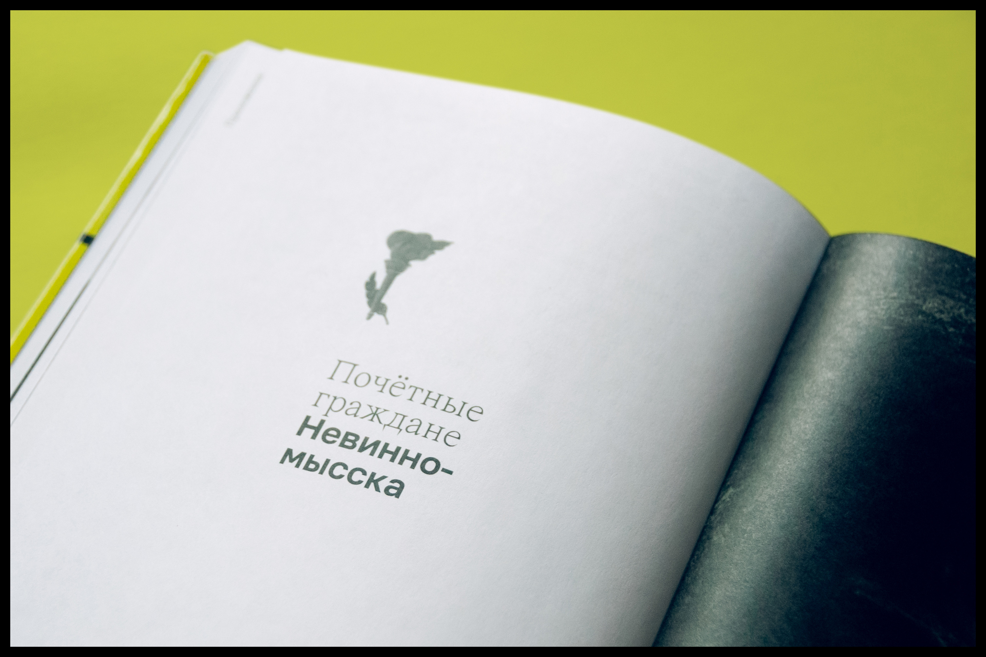 Почётные граждане Невинномысска — Изображение №52 — Графика на Dprofile