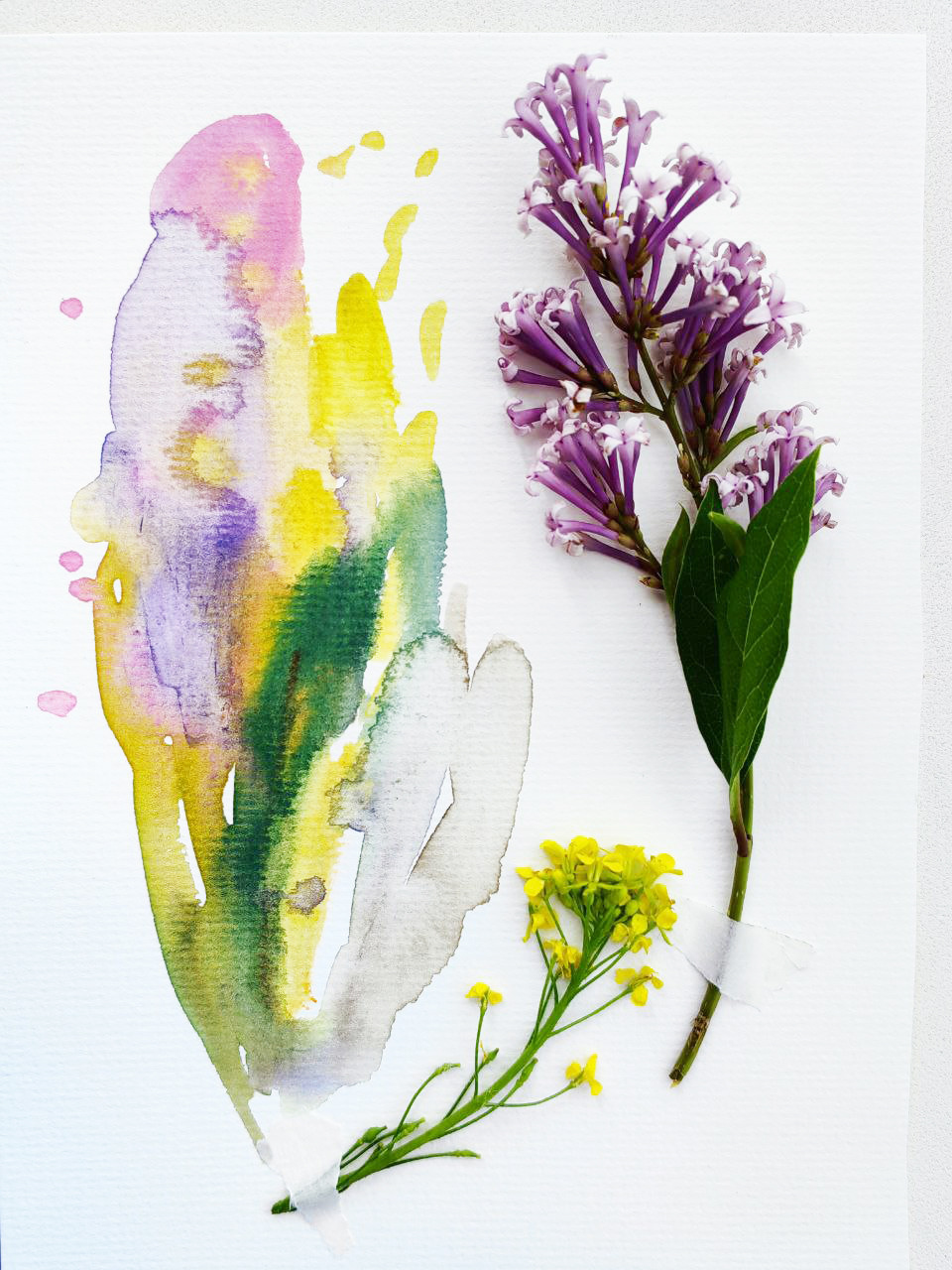 Summer watercolor — Изображение №17 — Иллюстрация на Dprofile
