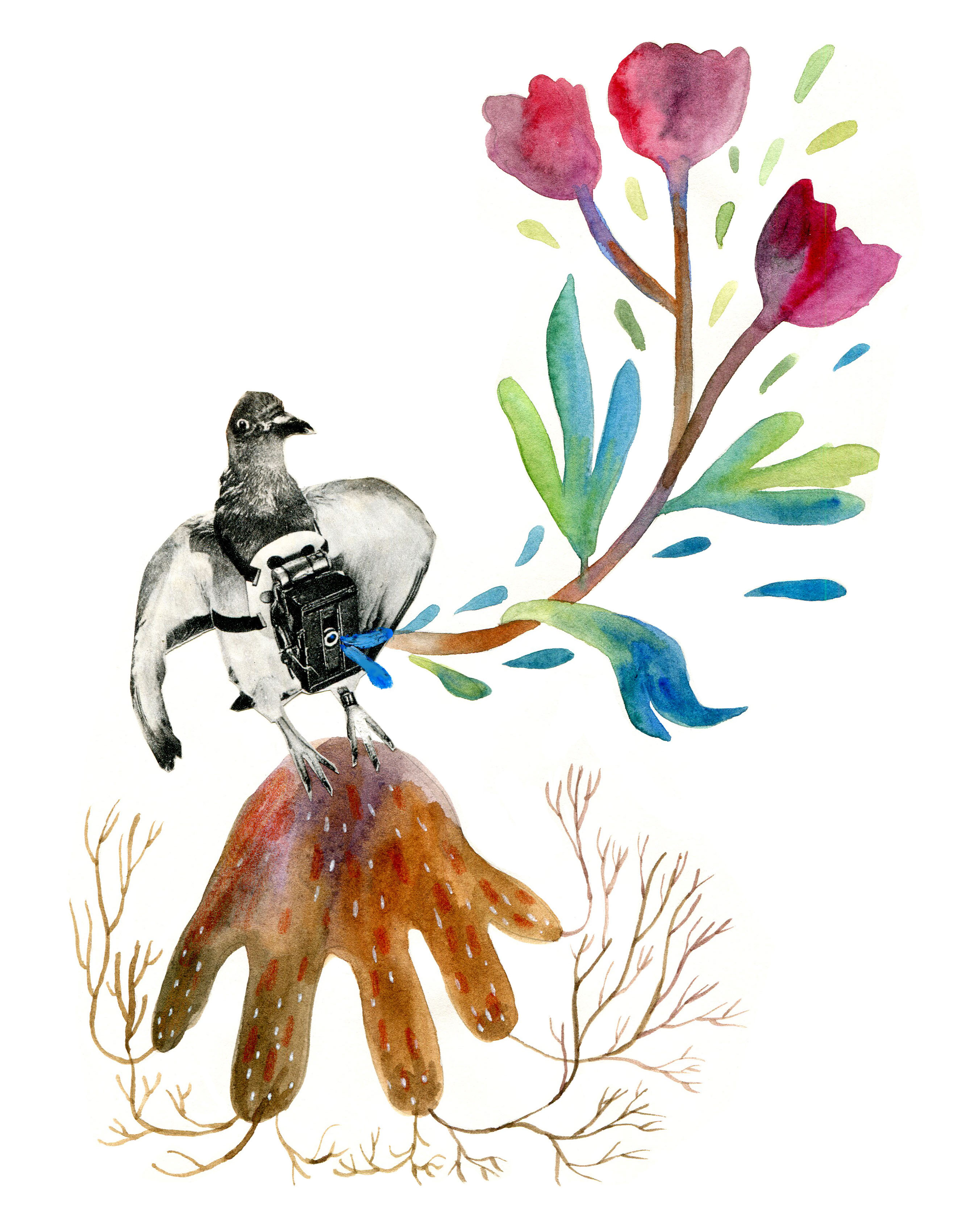 Summer watercolor — Изображение №19 — Иллюстрация на Dprofile