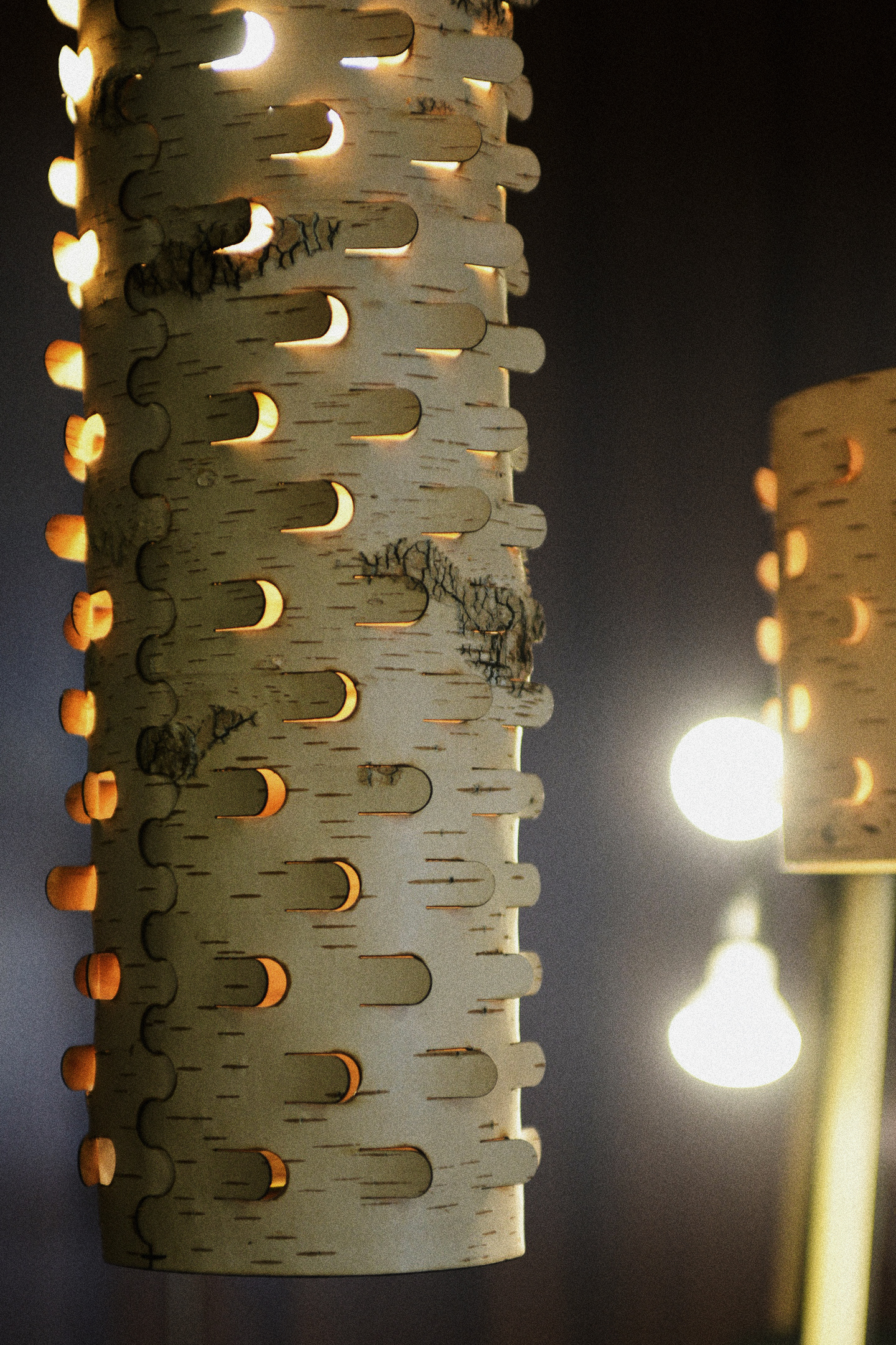 Siberian Industrial Design Days 2018 — Изображение №3 — Брендинг, Графика на Dprofile