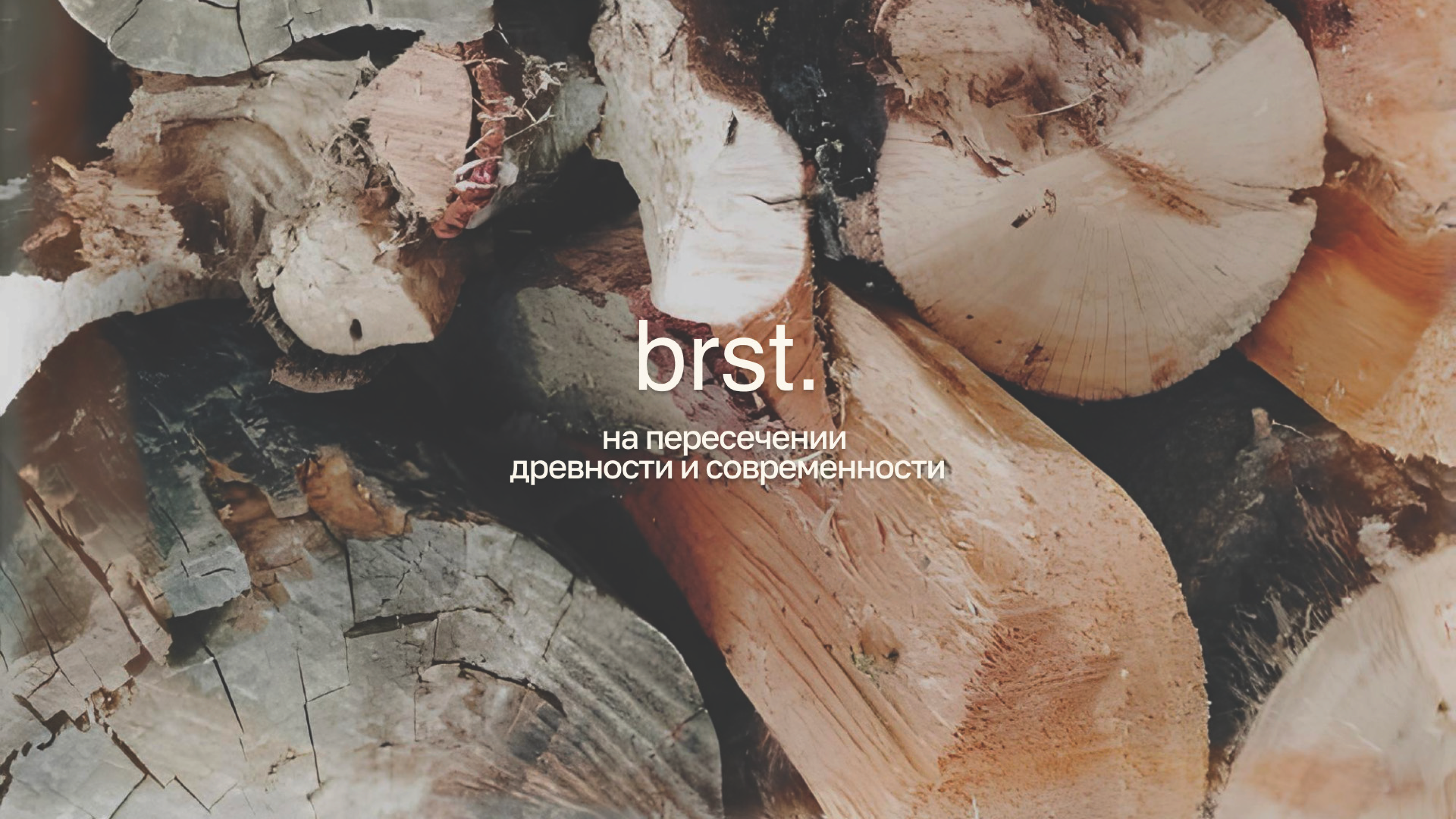 brst. — Изображение №9 — Брендинг, Графика на Dprofile