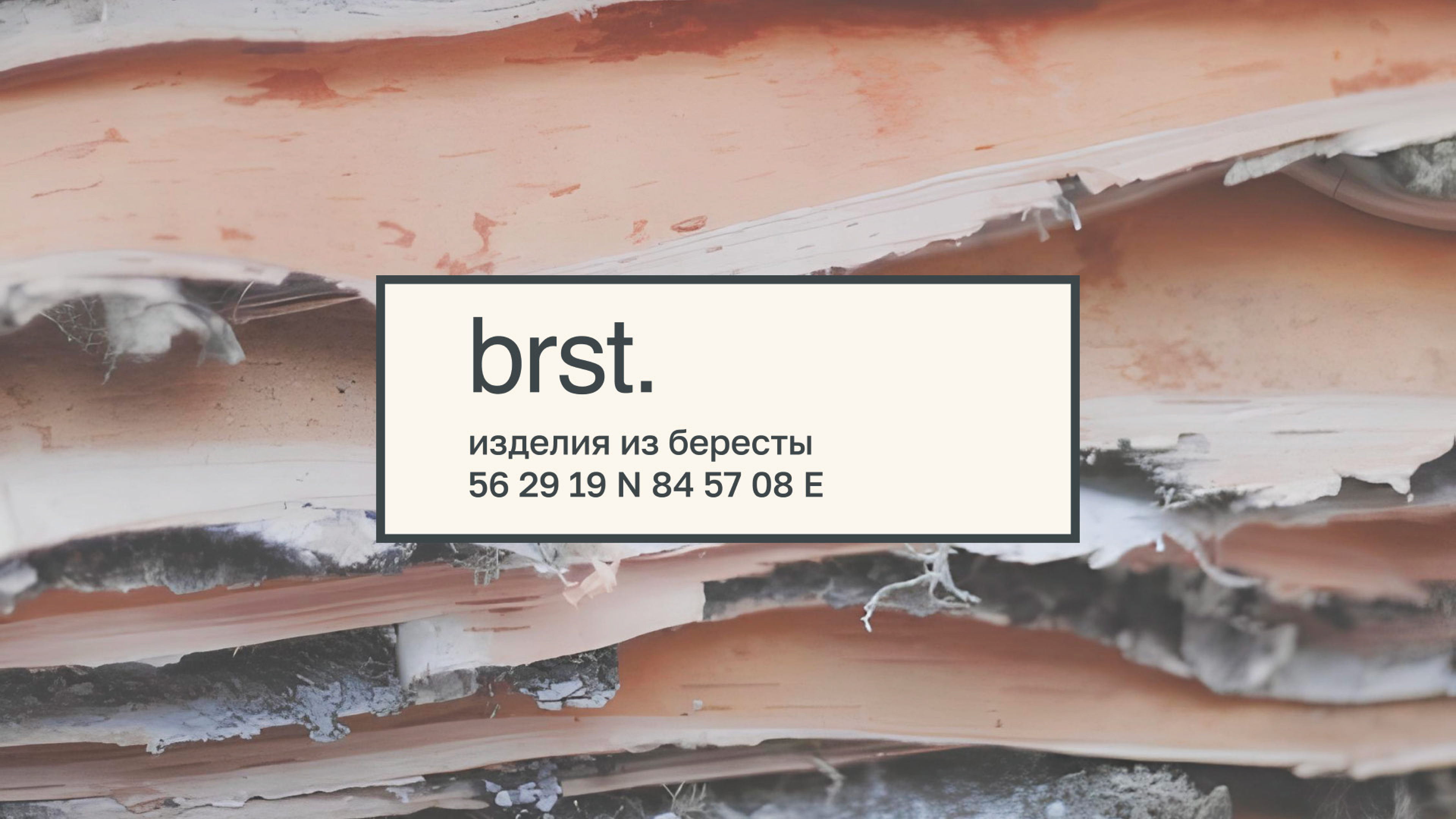 brst. — Изображение №1 — Брендинг, Графика на Dprofile