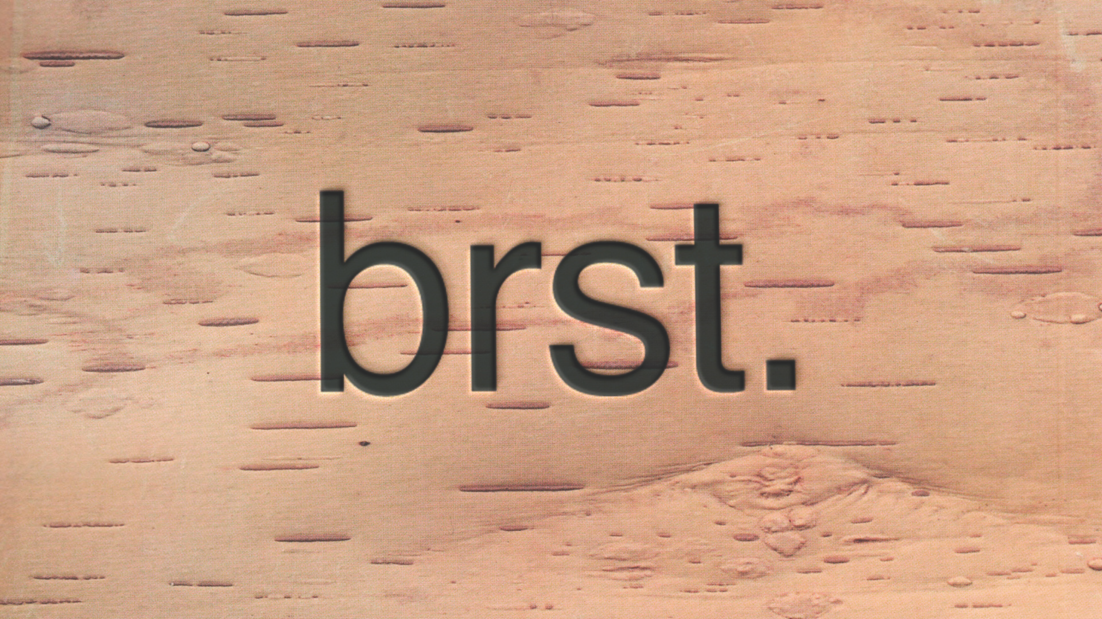brst. — Изображение №15 — Брендинг, Графика на Dprofile