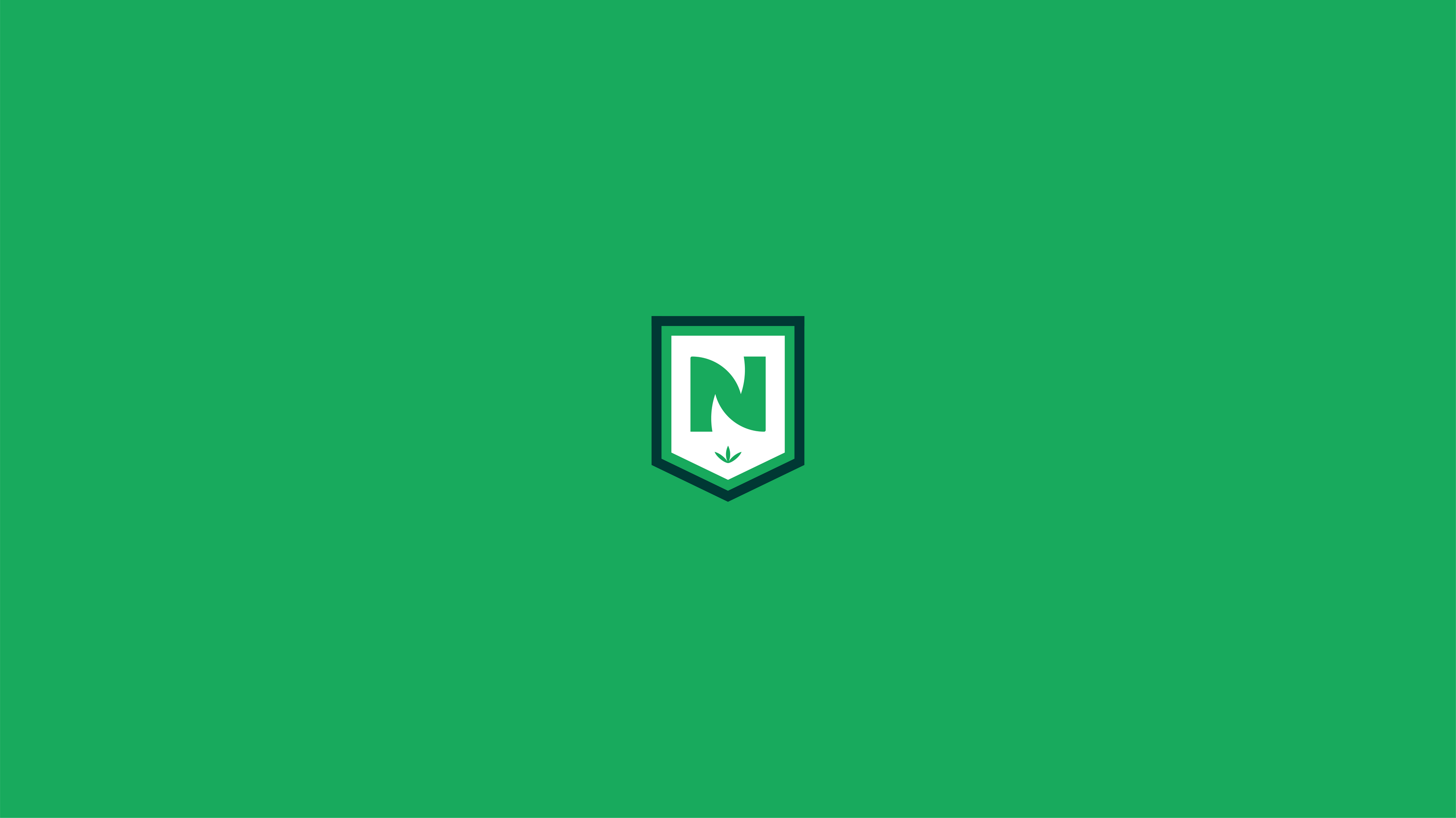 NOVDA SCHOOL | Brand identity — Изображение №5 — Брендинг на Dprofile