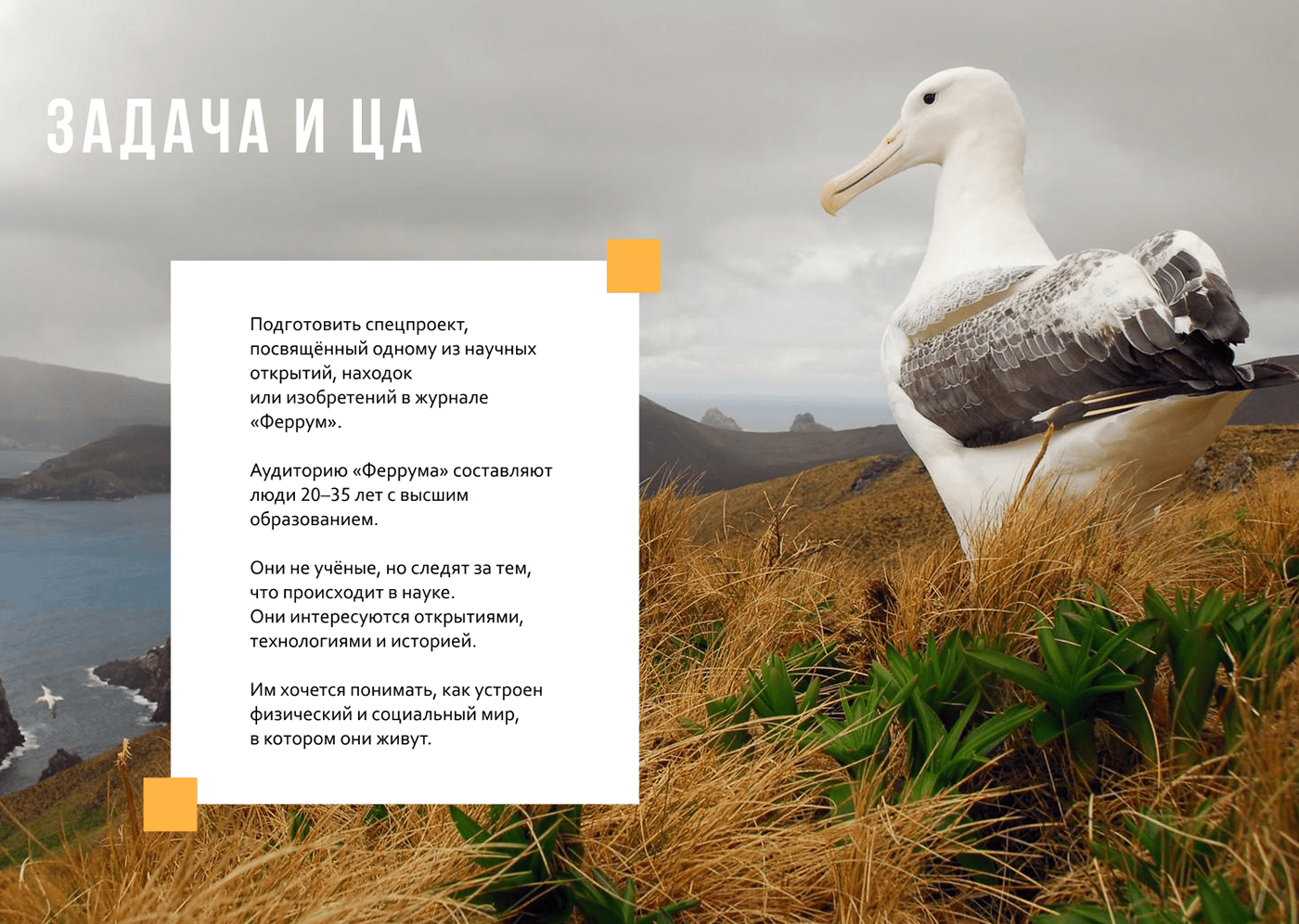 Лендинг/лонгрид для научного сайта — Изображение №2 — Графика, Анимация на Dprofile