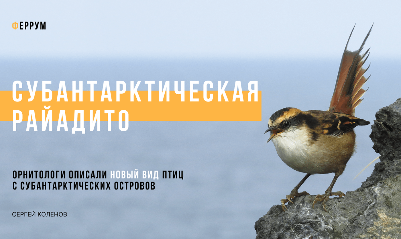 Лендинг/лонгрид для научного сайта — Изображение №1 — Графика, Анимация на Dprofile