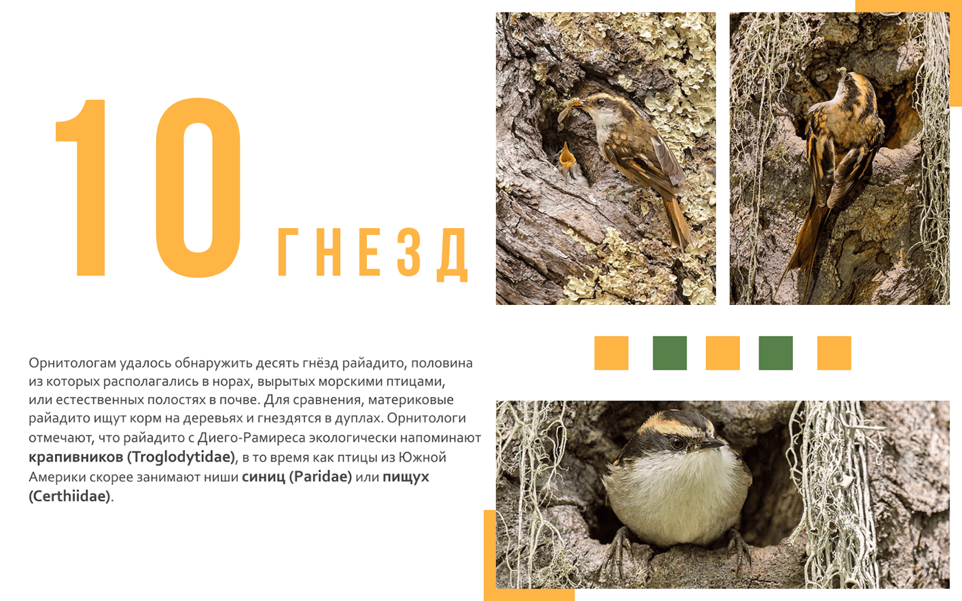 Лендинг/лонгрид для научного сайта — Изображение №16 — Графика, Анимация на Dprofile
