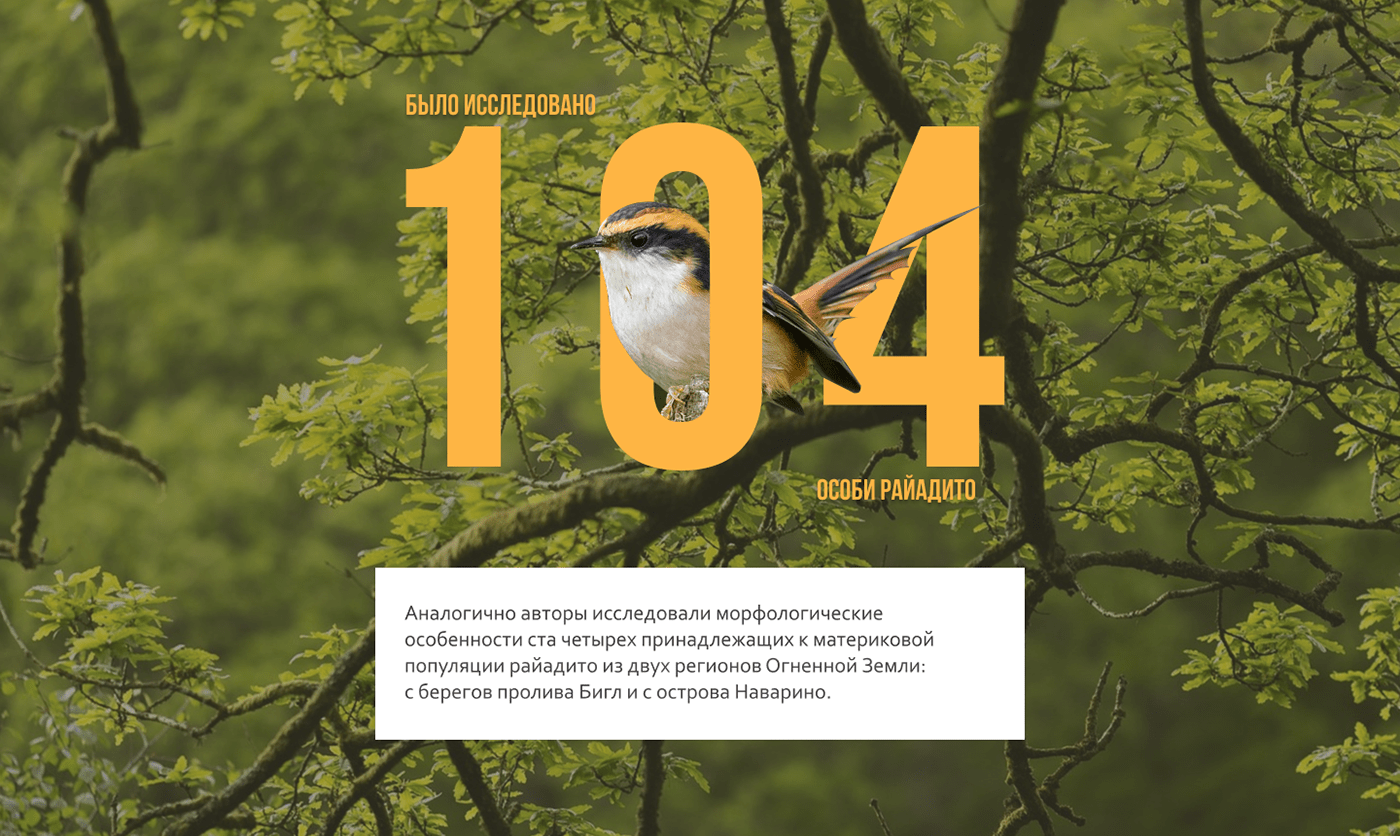 Лендинг/лонгрид для научного сайта — Изображение №13 — Графика, Анимация на Dprofile